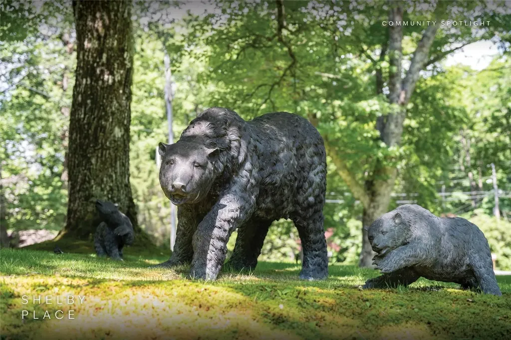 79/80 S Shelby Circle Highlands NC 28741