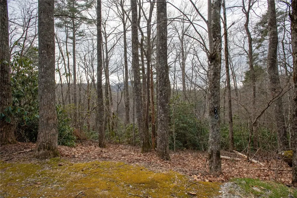 79/80 S Shelby Circle Highlands NC 28741