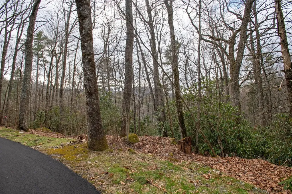 79/80 S Shelby Circle Highlands NC 28741