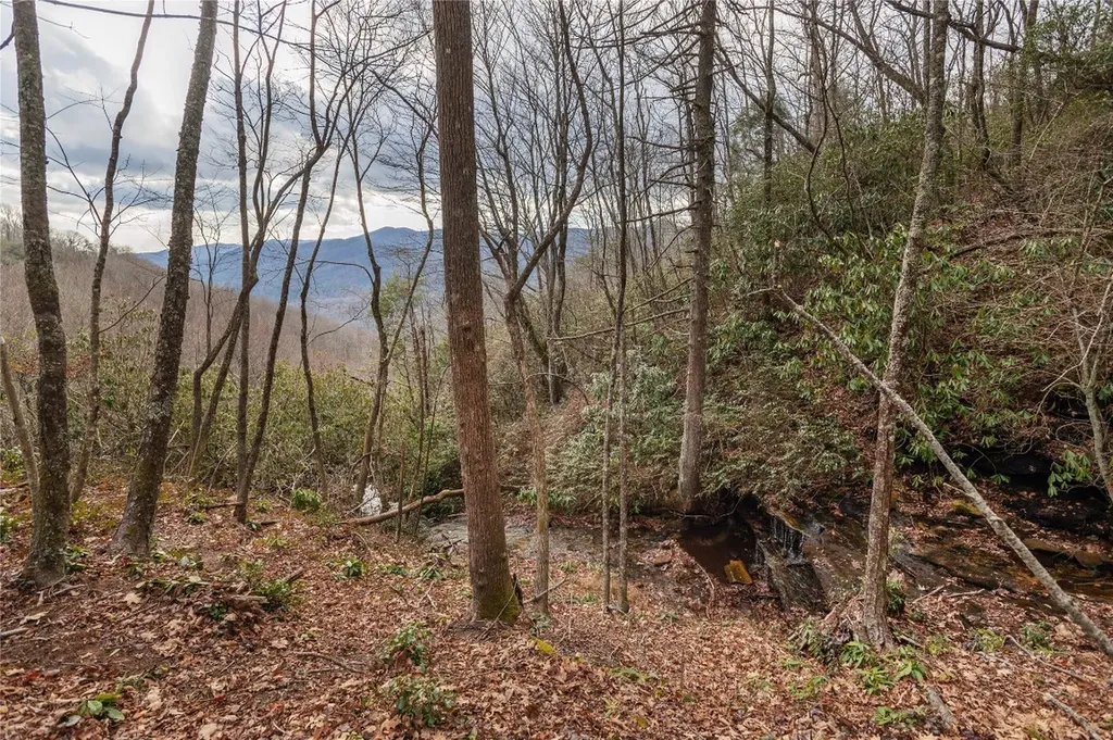 12/12A Trussing Terrace Sapphire NC 28774