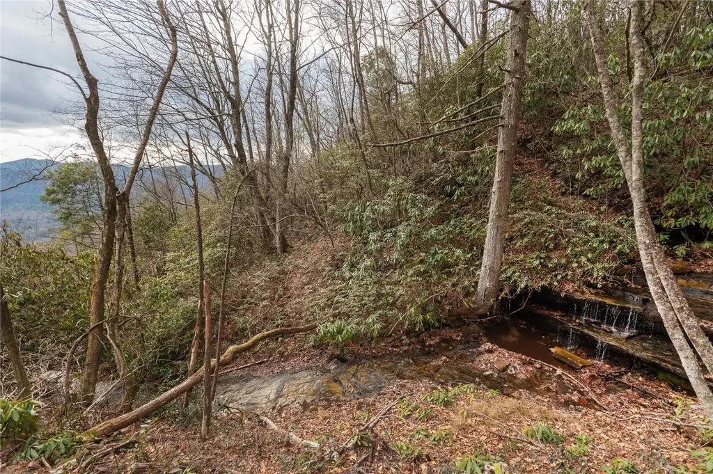 12/12A Trussing Terrace Sapphire NC 28774