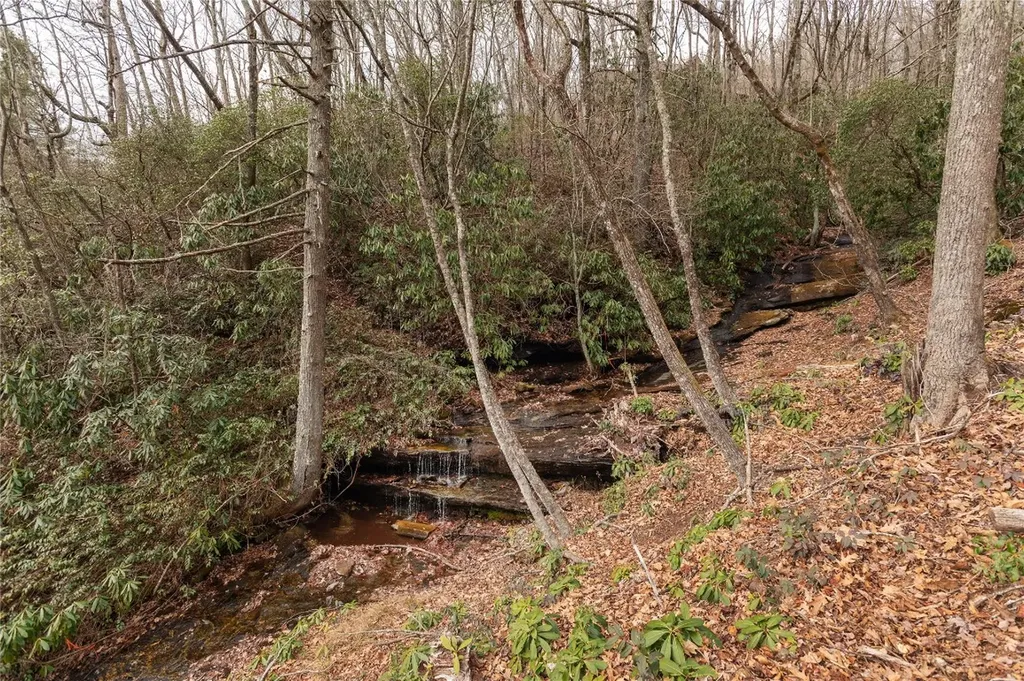 12/12A Trussing Terrace Sapphire NC 28774