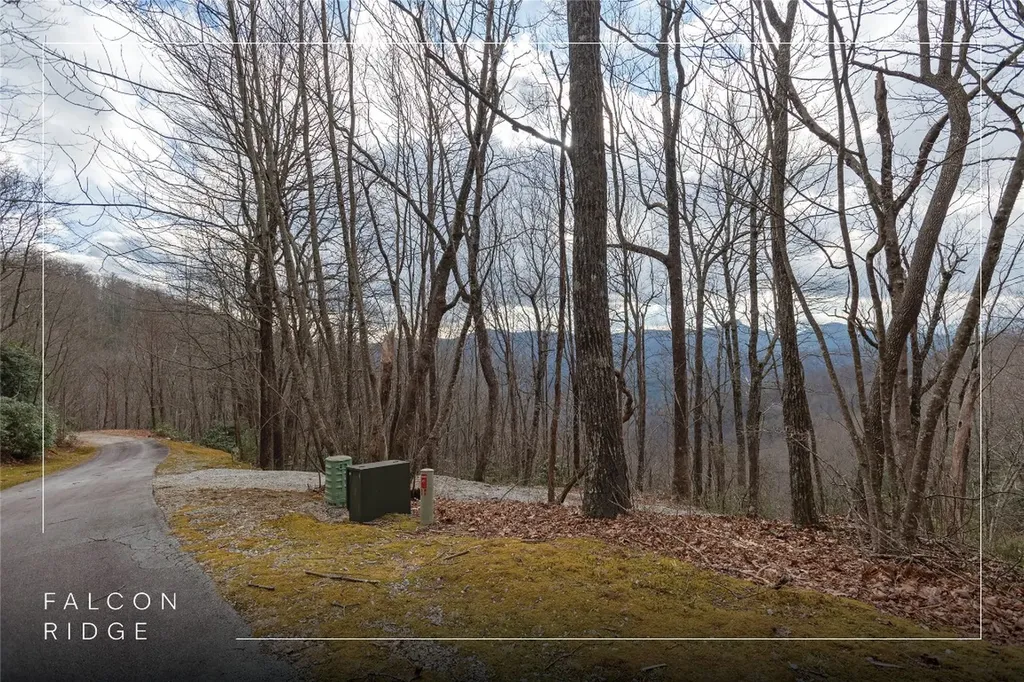 12/12A Trussing Terrace Sapphire NC 28774