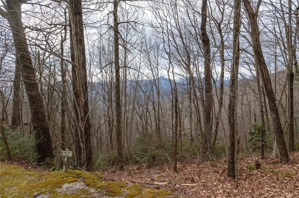 12/12A Trussing Terrace Sapphire NC 28774