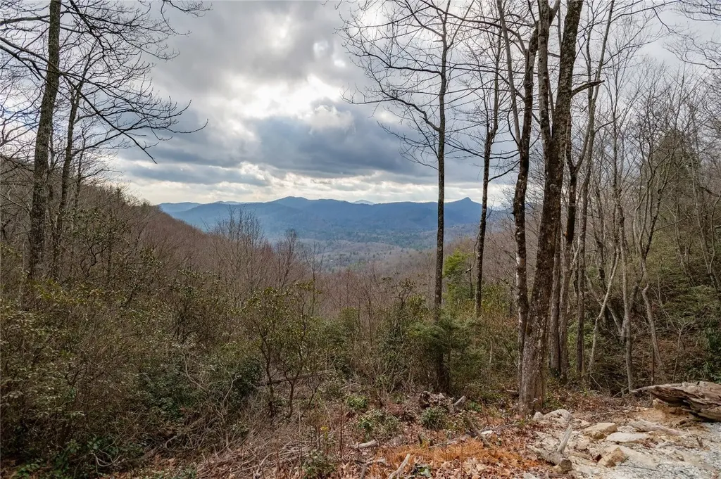 12/12A Trussing Terrace Sapphire NC 28774