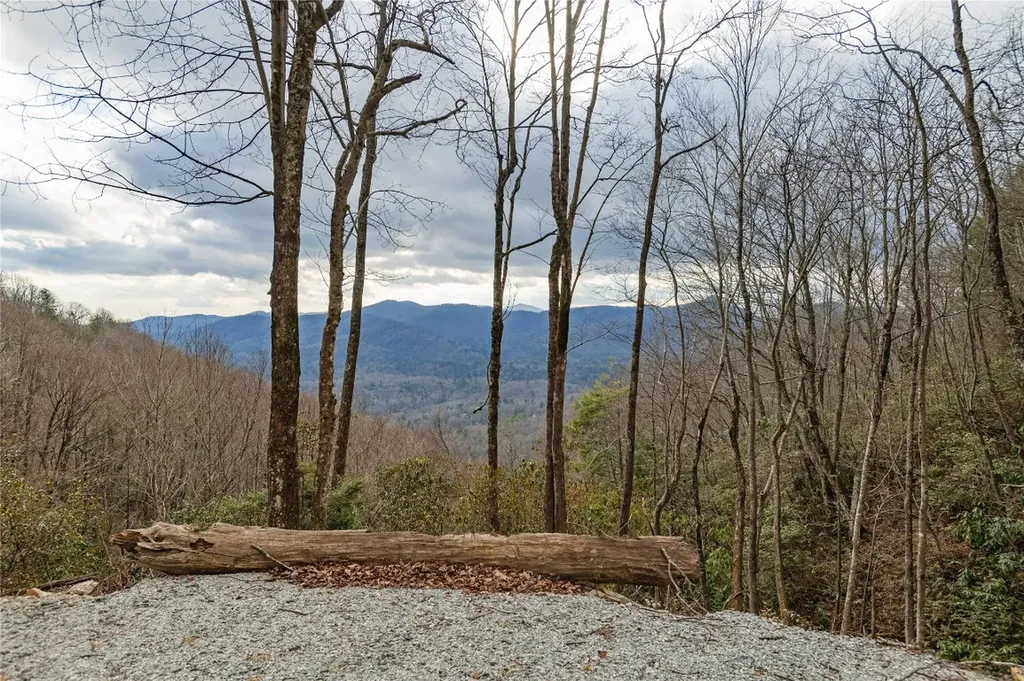 12/12A Trussing Terrace Sapphire NC 28774