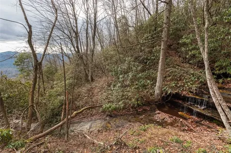 12/12A Trussing Terrace Sapphire NC 28774