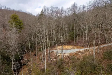 12/12A Trussing Terrace Sapphire NC 28774