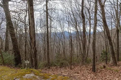 12/12A Trussing Terrace Sapphire NC 28774