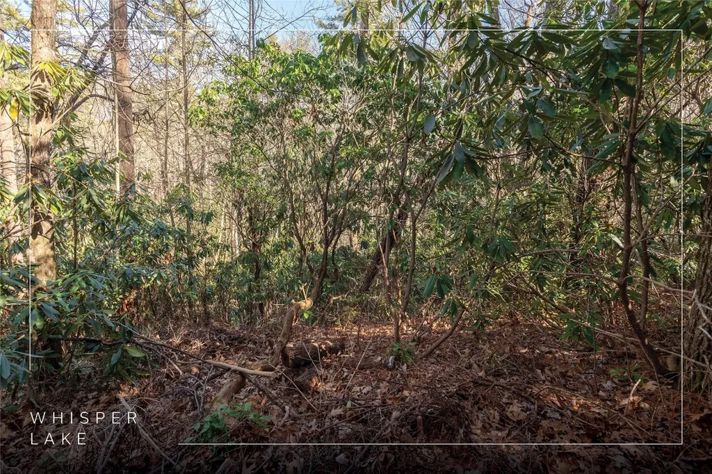 308 Whisper Winds Court Sapphire NC 28774