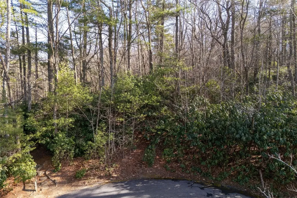 308 Whisper Winds Court Sapphire NC 28774