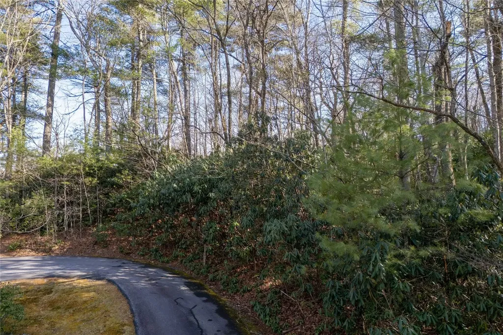 308 Whisper Winds Court Sapphire NC 28774