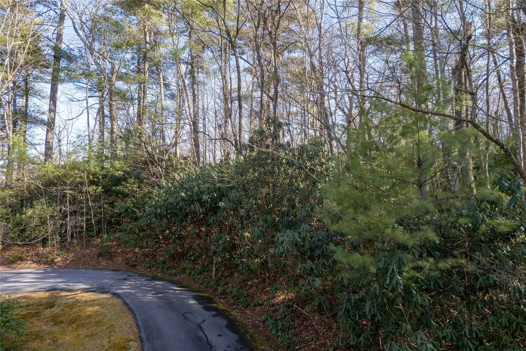 308 Whisper Winds Court Sapphire NC 28774
