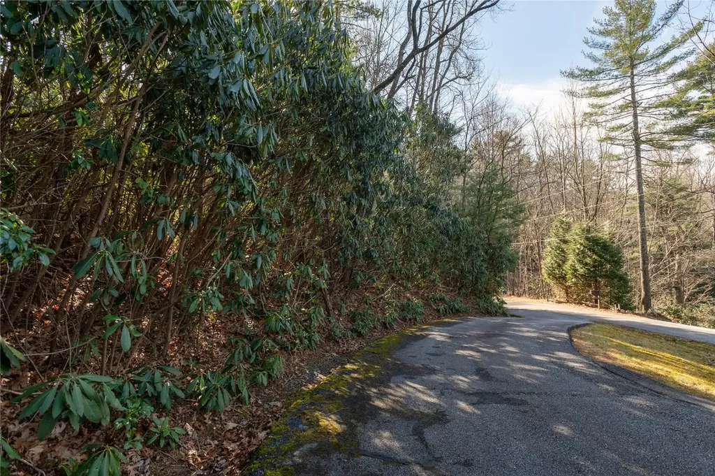 308 Whisper Winds Court Sapphire NC 28774