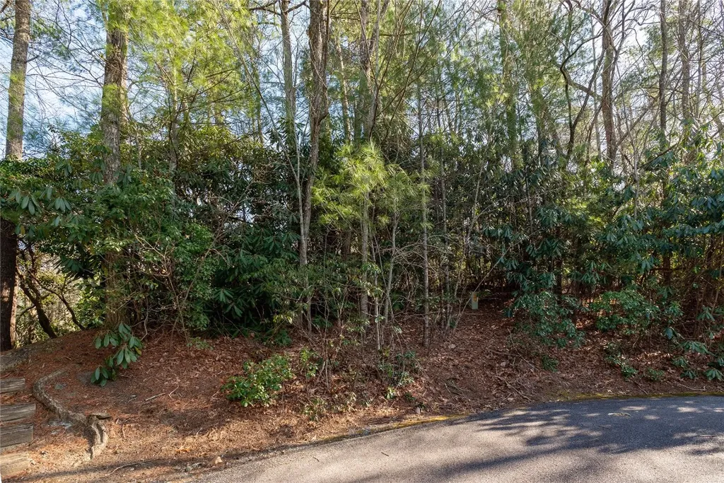 308 Whisper Winds Court Sapphire NC 28774