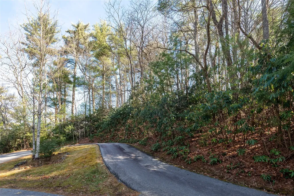 308 Whisper Winds Court Sapphire NC 28774
