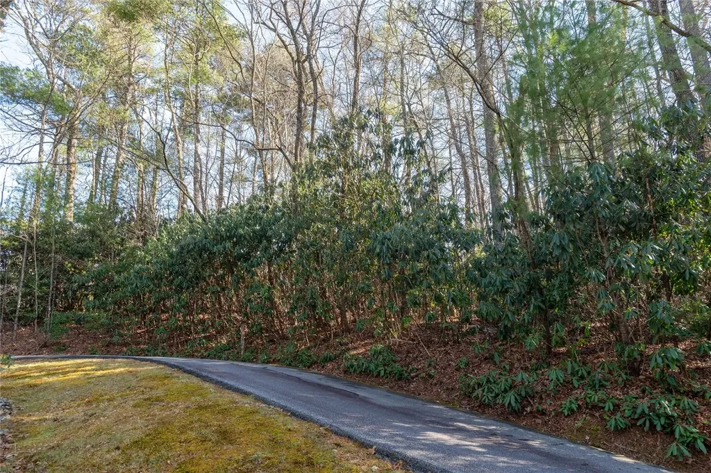 308 Whisper Winds Court Sapphire NC 28774