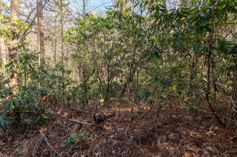 308 Whisper Winds Court Sapphire NC 28774