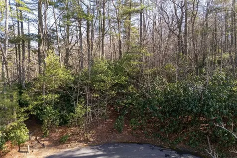 308 Whisper Winds Court Sapphire NC 28774