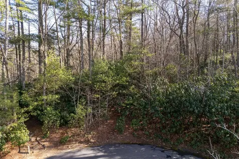 308 Whisper Winds Court Sapphire NC 28774