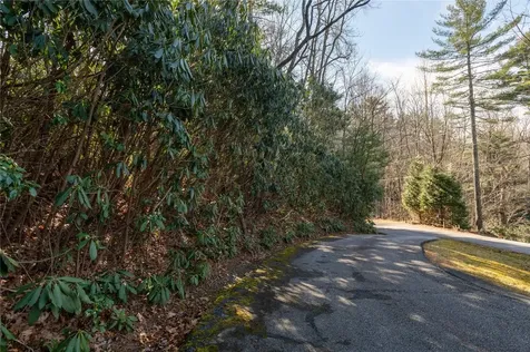 308 Whisper Winds Court Sapphire NC 28774