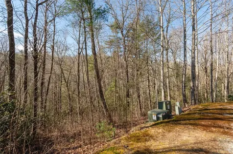 Lot 3 Turkey Roost Road Sapphire NC 28774