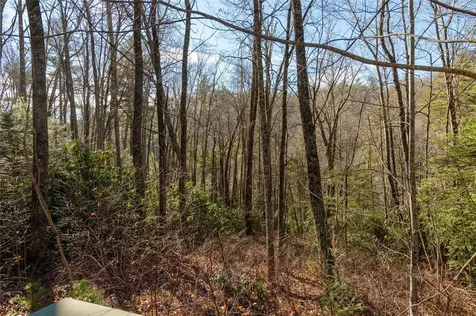 Lot 3 Turkey Roost Road Sapphire NC 28774