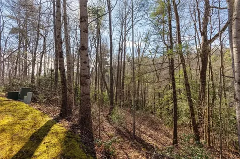 Lot 3 Turkey Roost Road Sapphire NC 28774