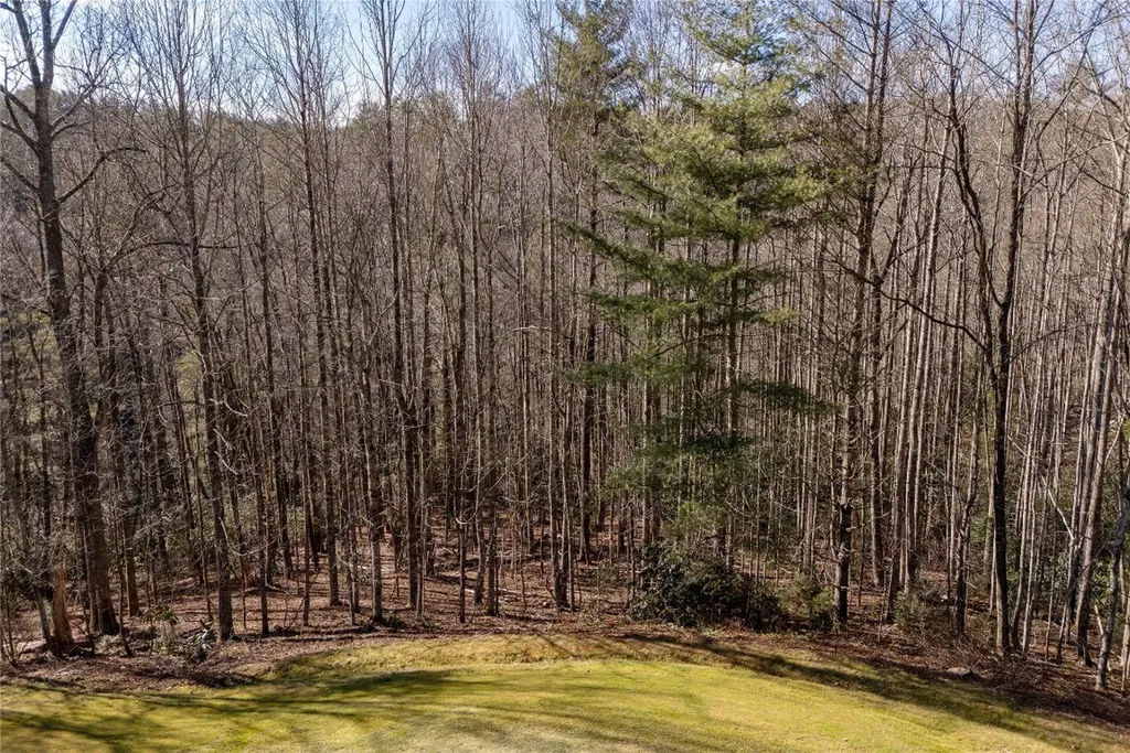 LOT1HR Turkey Roost Road Sapphire NC 28774
