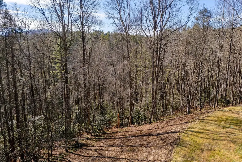 LOT1HR Turkey Roost Road Sapphire NC 28774