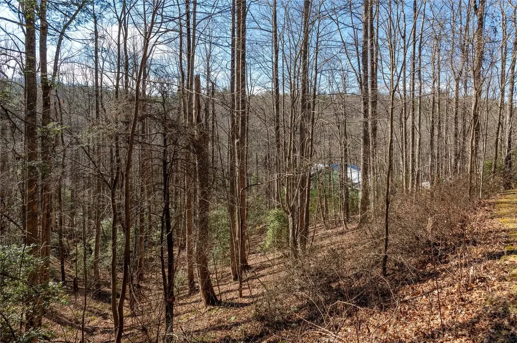 LOT1HR Turkey Roost Road Sapphire NC 28774