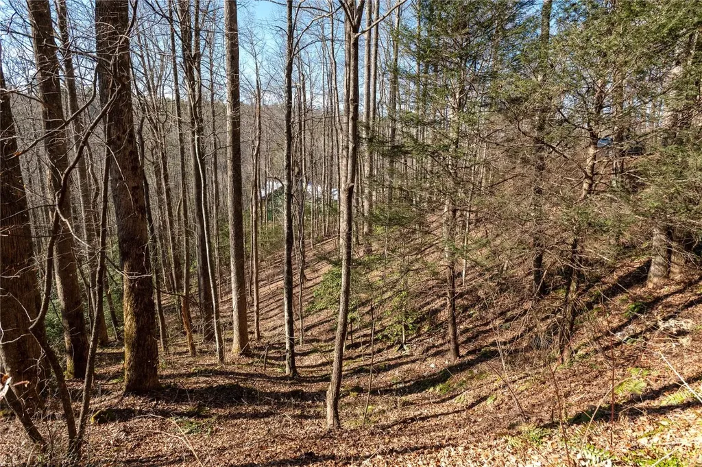 LOT1HR Turkey Roost Road Sapphire NC 28774