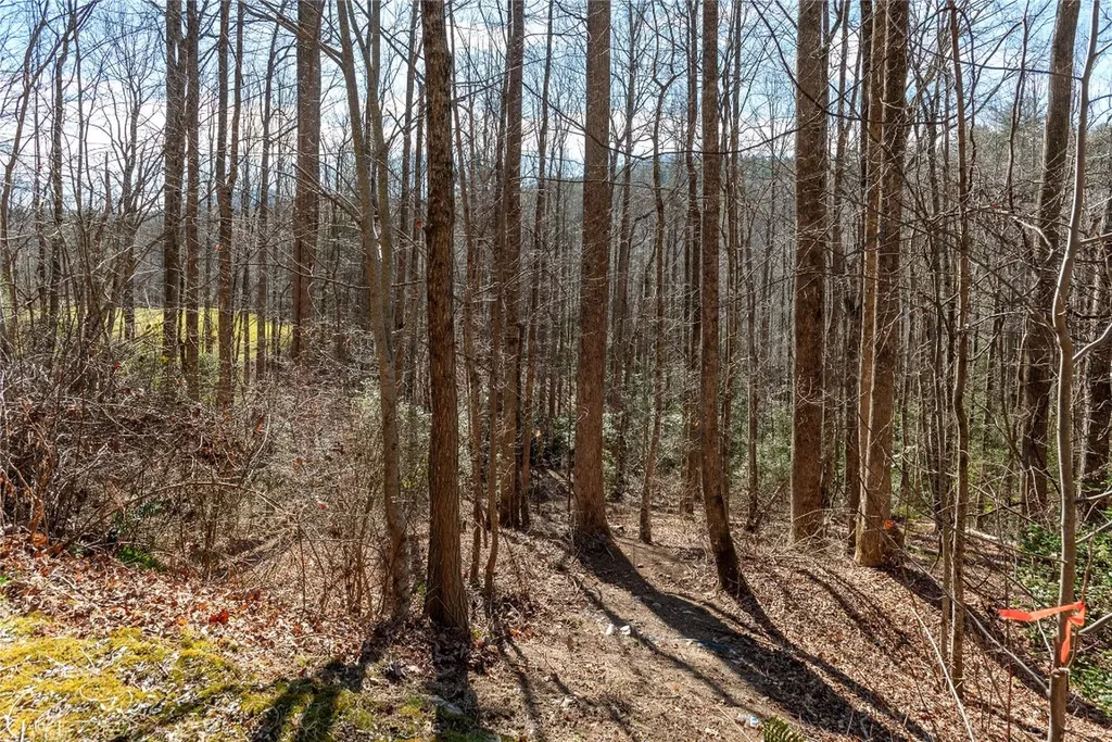 LOT1HR Turkey Roost Road Sapphire NC 28774