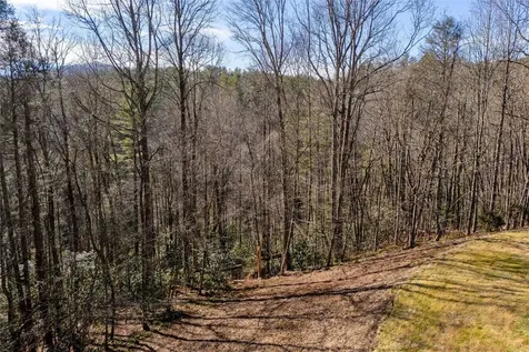LOT1HR Turkey Roost Road Sapphire NC 28774