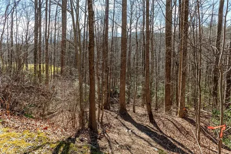 LOT1HR Turkey Roost Road Sapphire NC 28774