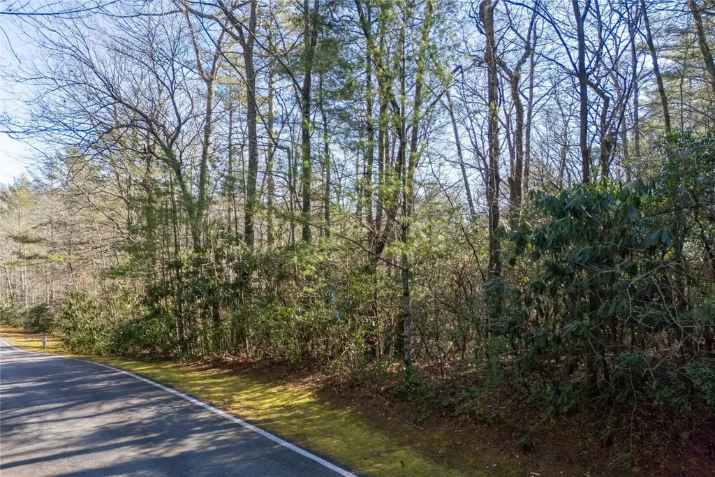 Lot 49 Big Pine Road Sapphire NC 28774