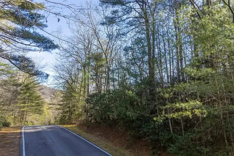 Lot 49 Big Pine Road Sapphire NC 28774
