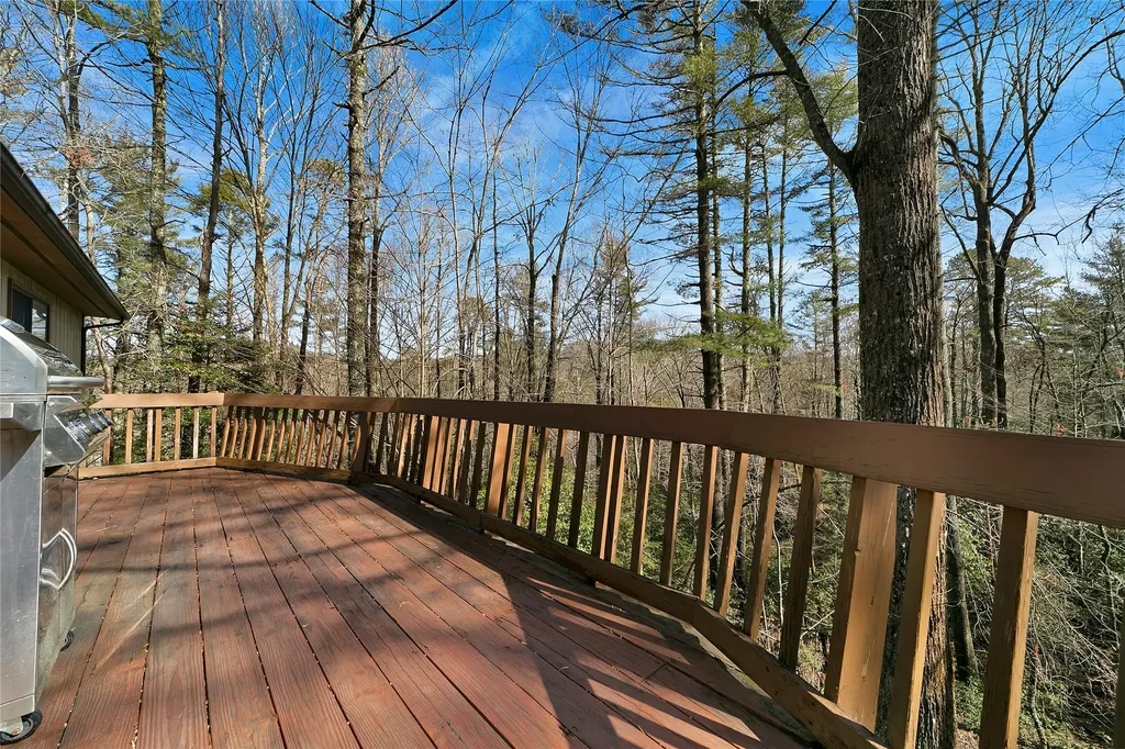 177 Walelu Court Brevard NC 28712