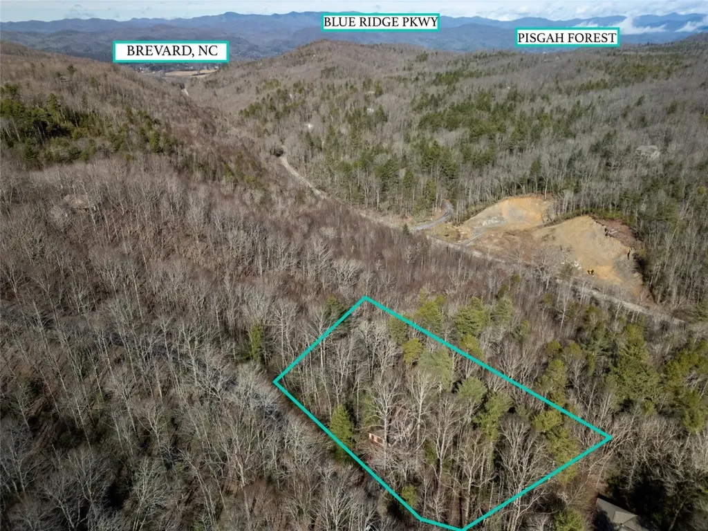 177 Walelu Court Brevard NC 28712