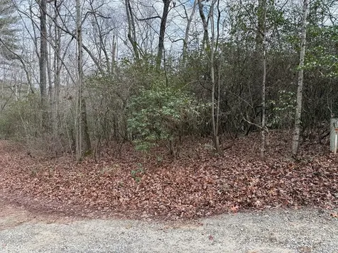 Lot 25 Ideal Acres Otto NC 28763