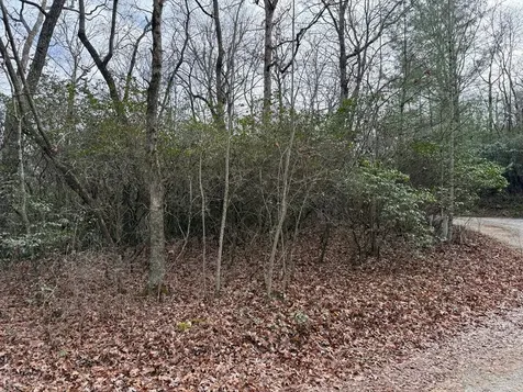 Lot 25 Ideal Acres Otto NC 28763