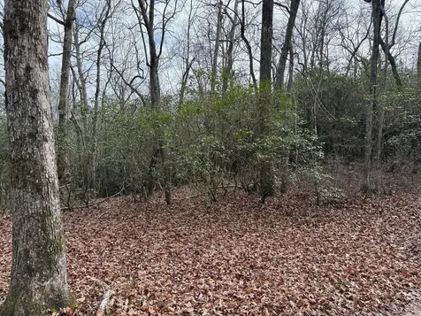Lot 25 Ideal Acres Otto NC 28763
