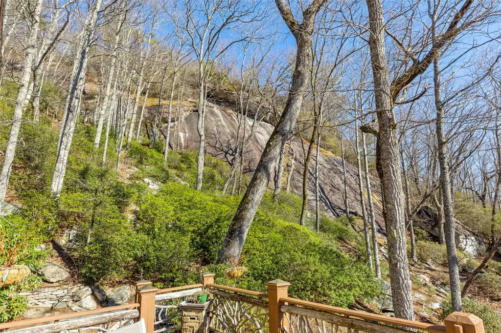 1454 Spring Forest Road Sapphire NC 28774