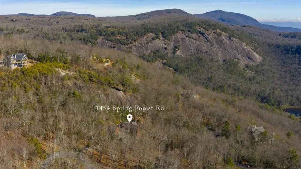 1454 Spring Forest Road Sapphire NC 28774