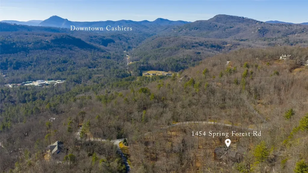 1454 Spring Forest Road Sapphire NC 28774