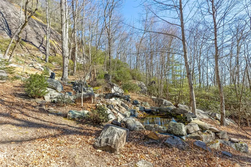 1454 Spring Forest Road Sapphire NC 28774