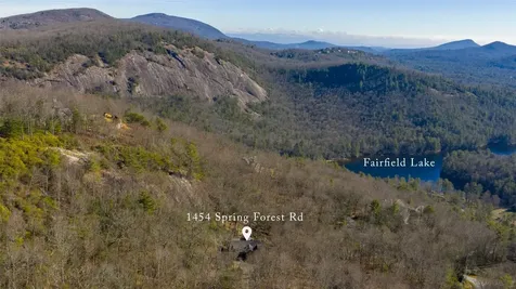 1454 Spring Forest Road Sapphire NC 28774
