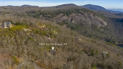 1454 Spring Forest Road Sapphire NC 28774