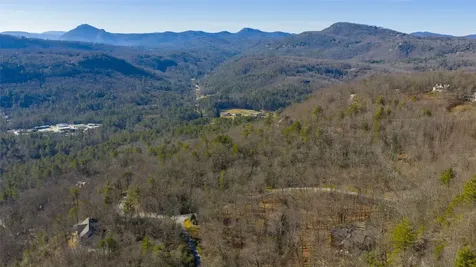 1454 Spring Forest Road Sapphire NC 28774