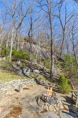 1454 Spring Forest Road Sapphire NC 28774